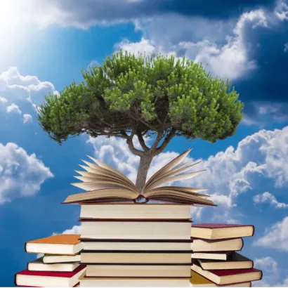 Bookwise